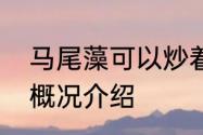 马尾藻可以炒着吃吗　马尾藻有哪些概况介绍