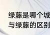 绿藤是哪个城市的别称　千金藤红藤与绿藤的区别