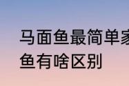 马面鱼最简单家庭做法　鲳鱼和马面鱼有啥区别