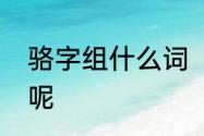 骆字组什么词　骆字能组成什么词语呢