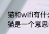 猫和wifi有什么区别　路由器和宽带猫是一个意思吗