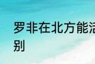 罗非在北方能活吗　斑点非和罗非区别