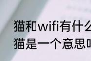 猫和wifi有什么区别　路由器和宽带猫是一个意思吗