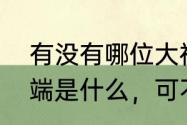 有没有哪位大神可以告诉无线数据终端是什么，可不可以当成路由器用=