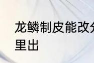 龙鳞制皮能改分支吗　冰冷的龙鳞哪里出