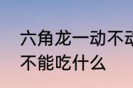 六角龙一动不动是怎么回事　六角龙不能吃什么