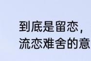 到底是留恋，还是流恋急急急急急　流恋难舍的意思