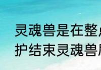 灵魂兽是在整点刷新么　魔兽世界维护结束灵魂兽刷新吗