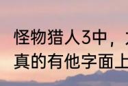 怪物猎人3中，力之护符和守之护符是真的有他字面上说的那样吗