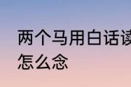 两个马用白话读是什么字　一个马××怎么念