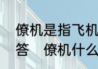 僚机是指飞机的什么地方请专业的回答　僚机什么意思