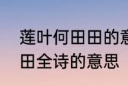 莲叶何田田的意思是什么　莲叶何田田全诗的意思