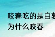 咬春吃的是白萝卜还是红萝卜　立春为什么咬春