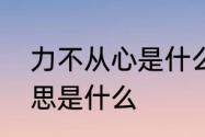 力不从心是什么意思　力不从心的意思是什么