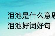 泪池是什么意思　爱丽丝梦游仙境眼泪池好词好句