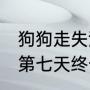 狗狗走失流泪绝食网友合力找主人 在第七天终于找到了主人