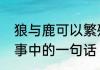 狼与鹿可以繁殖后代吗　鹿和狼的故事中的一句话