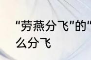 “劳燕分飞”的“劳”是什么意思　劳什么分飞