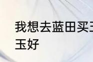 我想去蓝田买玉可是不知到蓝田哪的玉好