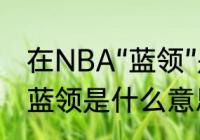 在NBA“蓝领”是什么意思啊　NBA中蓝领是什么意思