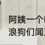 阿姨一个哨声呼唤流浪狗投喂食物 流浪狗们闻声从四面八方聚集而来