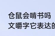 仓鼠会啃书吗　老鼠爬进书箱里—咬文嚼字它表达的含义是什么