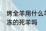 烤全羊用什么羊合适　烤全羊都是冷冻的死羊吗