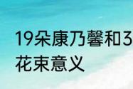 19朵康乃馨和33朵区别　19支康乃馨花束意义