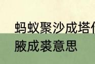 蚂蚁聚沙成塔什么意思　聚沙成塔集腋成裘意思