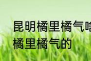 昆明橘里橘气啥意思　snh48为什么橘里橘气的