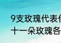 9支玫瑰代表什么意思　九朵玫瑰和十一朵玫瑰各代表什么意