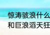 惊涛骇浪什么意思　惊涛骇浪的意思和巨浪滔天狂风大作的意思一样吗