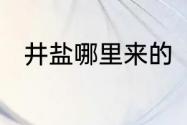 井盐哪里来的　井盐是从哪里来的