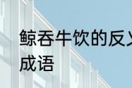 鲸吞牛饮的反义成语　形容牛饮水的成语