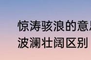 惊涛骇浪的意思是什么　惊涛骇浪，波澜壮阔区别