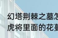 幻塔荆棘之墓怎么召唤boss　剑阁五虎将里面的花蔓怎么召唤狐狸