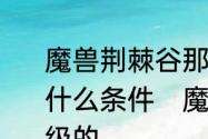 魔兽荆棘谷那个虎王多少级的,抓它要什么条件　魔兽荆棘谷那个虎王多少级的