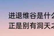 进退维谷是什么意思　进退维谷之日正是别有洞天之时什么意思