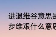 进退维谷意思是什么　进退维谷和举步维艰什么意思