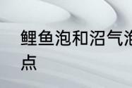 鲤鱼泡和沼气泡的区别　鲤鱼繁殖特点