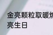 金亮颗粒取暖炉怎么调最佳参数　金亮生日