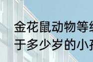 金花鼠动物等级　金花鼠的智商相当于多少岁的小孩