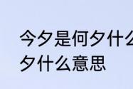 今夕是何夕什么意思　今夕明夕复何夕什么意思