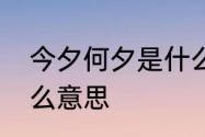 今夕何夕是什么意思　今夕何夕是什么意思