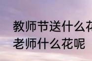 教师节送什么花给老师最好　应该送老师什么花呢