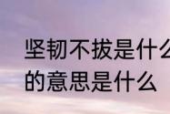 坚韧不拔是什么意思解释　坚韧不拔的意思是什么