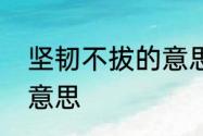 坚韧不拔的意思是　坚韧不拔是什么意思