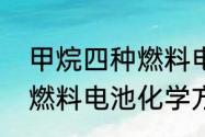 甲烷四种燃料电池方程式　甲烷四种燃料电池化学方程式