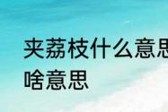 夹荔枝什么意思　女生吃饭给你夹藕啥意思