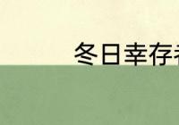 冬日幸存者壁炉怎么使用